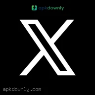 X (Twitter)