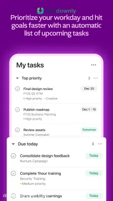 Asana screenshot