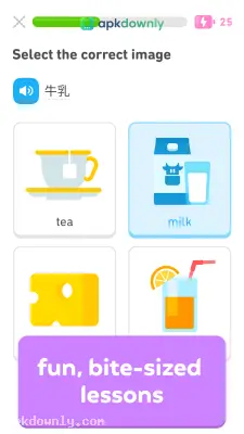 Duolingo screenshot