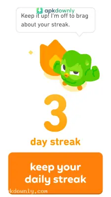 Duolingo screenshot