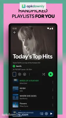 Spotify screenshot