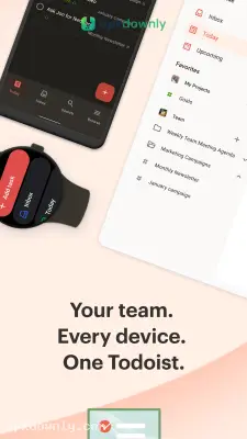 Todoist screenshot